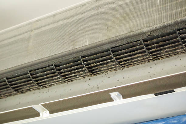 Best Professional Duct Cleaning Services  in Broken Bow, NE